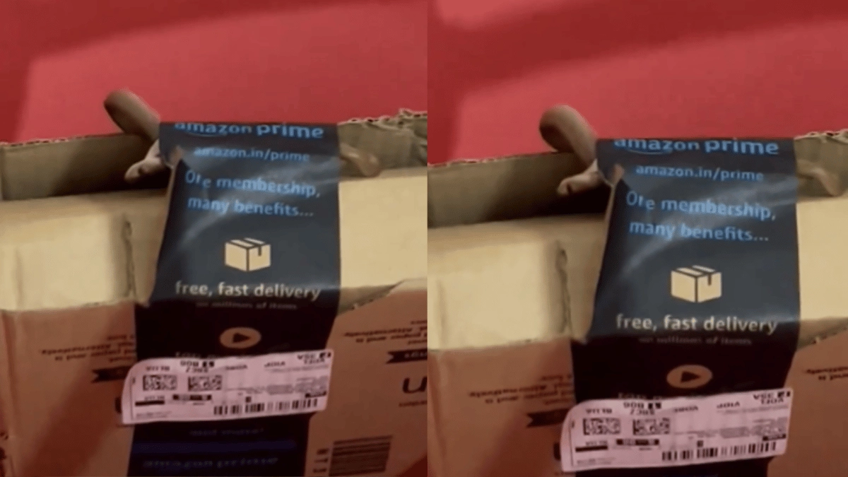 bengaluru-couple-receives-live-snake-in-amazon-parcel-company-reply-disappoints-netizens-viral-video